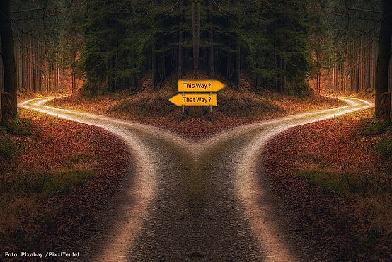 Dunkel gehaltenes Bild eines Waldweges der sich gabelt mit zwei Verkehrsschildern nach links und rechts zeigend, die mit "This way?" und "That way?" beschriftet sind.