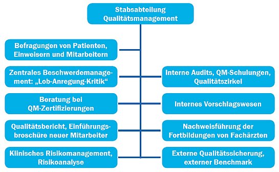 Organigramm der Stabsabteilung Qualitätsmanagement mit 7 Bereichen nach Funktion gegliedert wie z.B. Risikoanalyse, Internes Vorschlagswesen und Beratung bei Qualitätsmanagement-Zertifizierungen.