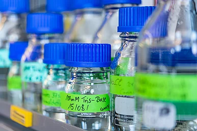 COVID-19-Forschung im immunologischen Labor Detailaufnahme von mehreren mit klarer Flüssigkeit gefüllten Laborflaschen aus Glas mit blauem Plastikdeckeln und giftgrünen Banderolen mit schwarzer Beschriftung.