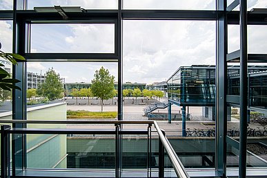 Blick nach draußen durch eine Glasfassade über einen rechteckigen, geschotterten und an den Rändern mit Bäumen bepflanzten und Bänken ausgestatteten Platz hin Glasfassade des gegenüberliegenden zweistöckigen Gebäudes.