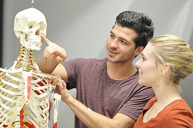 Zwei Studierende betrachten an einen Skelettmodell die Nasenhöhle des Schädels.