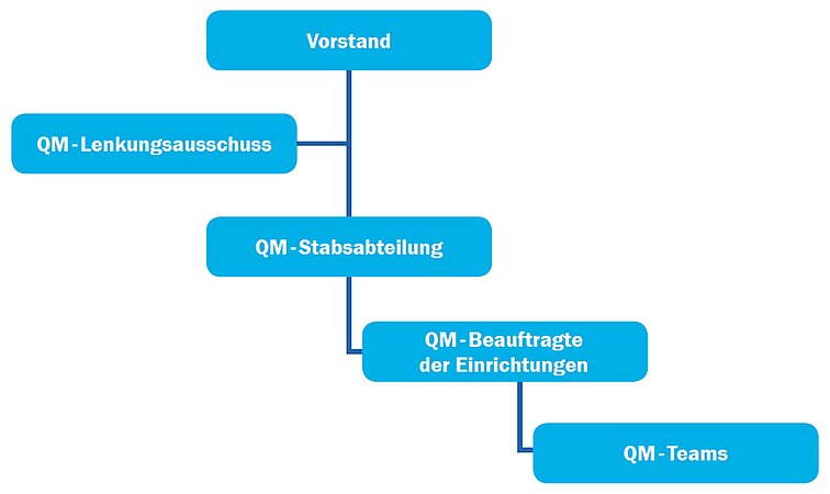Organigramm mit Vorstand an der Spitze, gefolgt vom Qualitätsmanagement-Lenkungsausschuss, QM-Stabsabteilung, QM-Beauftragten der Einrichtungen und QM-Teams.