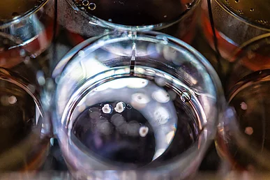 Stammzellforschung: Organoide in der Petrischale Nahaufnahme einer Petrischale aus Glas in der drei weiße organische Klümpchen schwimmen.