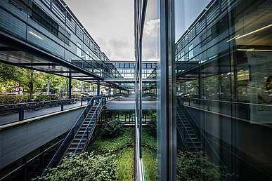 Blick entlang der Flucht der Lichthöfe zwischen der graugrünen Glasfassade des Internistischen Zentrums auf der rechten Seite und dem einige Meter weiter links parallel verlaufenden Fußwegs, der von einem gleichfarbigen Glasgang auf der Höhe des ersten Obergeschosses überdacht wird. Der Glasgang ist durch mehrere Quergänge mit der Baukörper der Klinik verbunden.