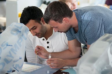 Zwei Studenten beugen sich über ein Testset mit etlichen Fächern. Der eine träufelt aus einer transparenten Pipette gelbe Flüssigkeit in eines der Fächer.