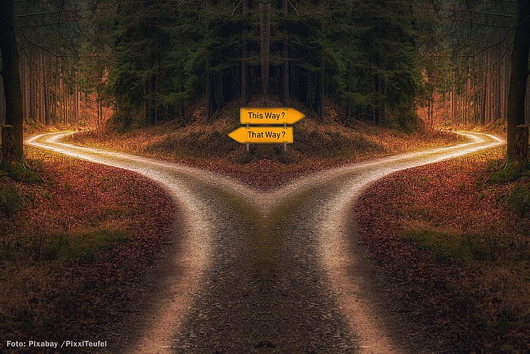 Dunkel gehaltenes Bild eines Waldweges der sich gabelt mit zwei Verkehrsschildern nach links und rechts zeigend, die mit "This way?" und "That way?" beschriftet sind.