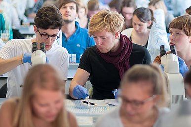 Studierende mit blauen Laborhandschuhen tropfen aus Pipetten Flüssigkeiten auf Testsets.