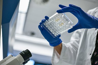 Hände mit blauen Laborhandschuhen bewegen einen transparenten Objektträger mit vielen runden Fächern auf ein Mikroskop zu.